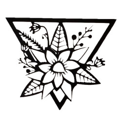 Květina v trojuhelníku Květina v trojuhelníku